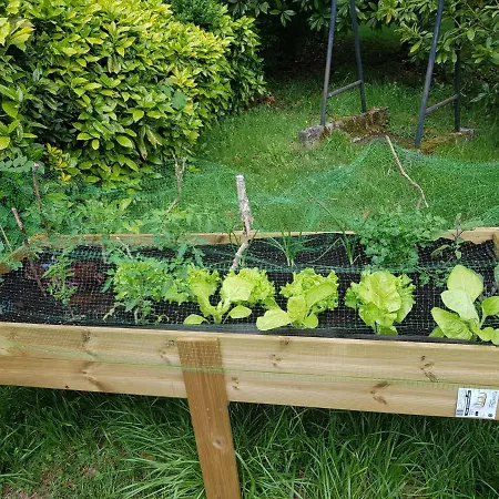 Casa Lekutxoa Con Amplio Jardin Cerca De San Sebastian Villa