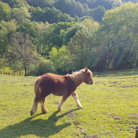 Villa Casa Lekutxoa Con Amplio Jardin Cerca De San Sebastian Oiartzun