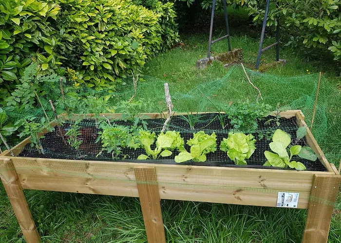 Casa Lekutxoa Con Amplio Jardin Cerca De San Sebastian Villa