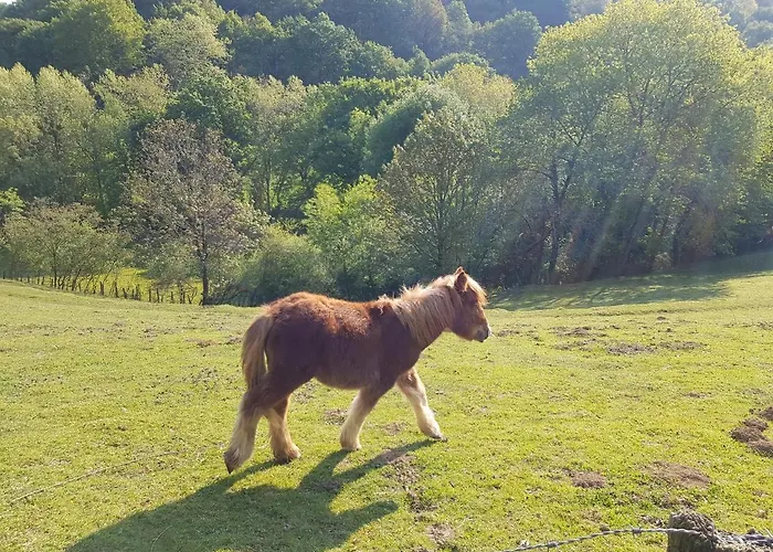 Villa Casa Lekutxoa Con Amplio Jardin Cerca De San Sebastian Oiartzun